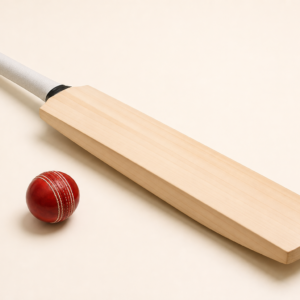 Cricket bat and ball
