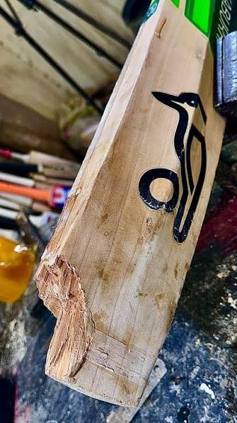 SG bat, product photo 2