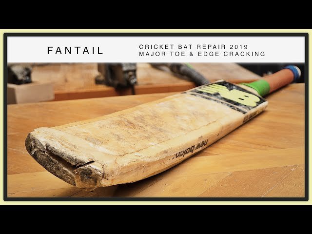 SG bat, product photo 5