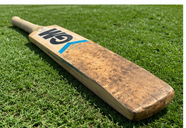 GM - Grade 2 Cricket Bat, product photo 3