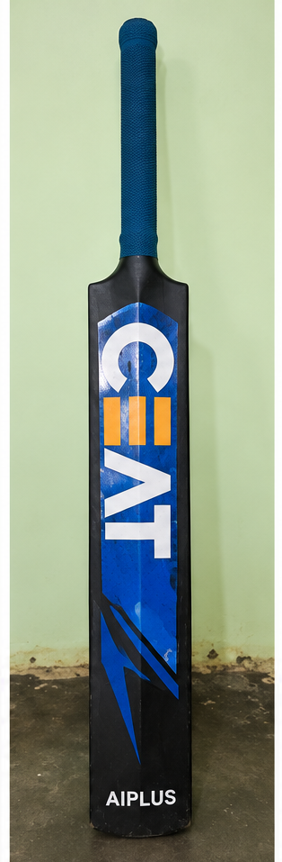 CEAT Fearless - Grade 1 Cricket Bat, product photo 4