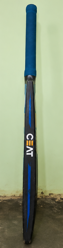 CEAT Fearless - Grade 1 Cricket Bat, product photo 3