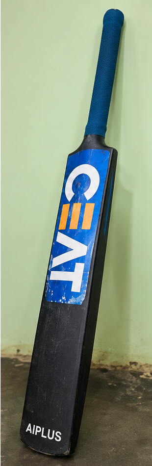 CEAT Fearless - Grade 1 Cricket Bat, product photo 2