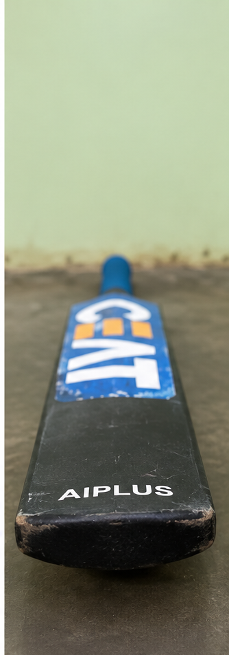 CEAT Fearless - Grade 1 Cricket Bat, product photo 1