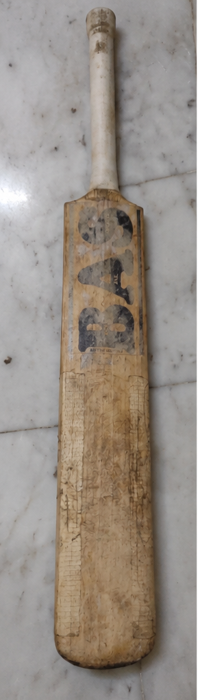 BAS Vampire - Cricket Bat, product photo 5