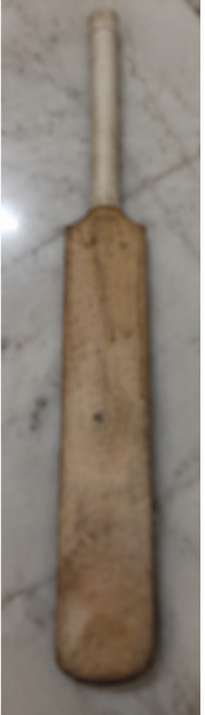 BAS test Cricket Bat, product photo 4