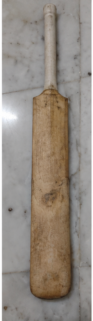 BAS Vampire - Cricket Bat, product photo 4
