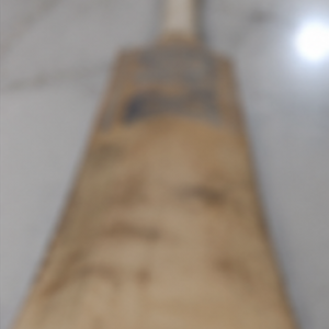 BAS test Cricket Bat