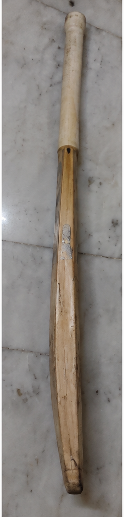 BAS Vampire - Cricket Bat, product photo 3