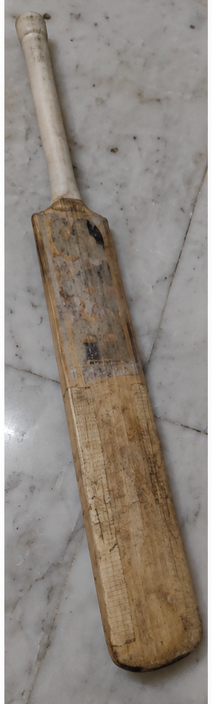 BAS Vampire - Cricket Bat, product photo 1