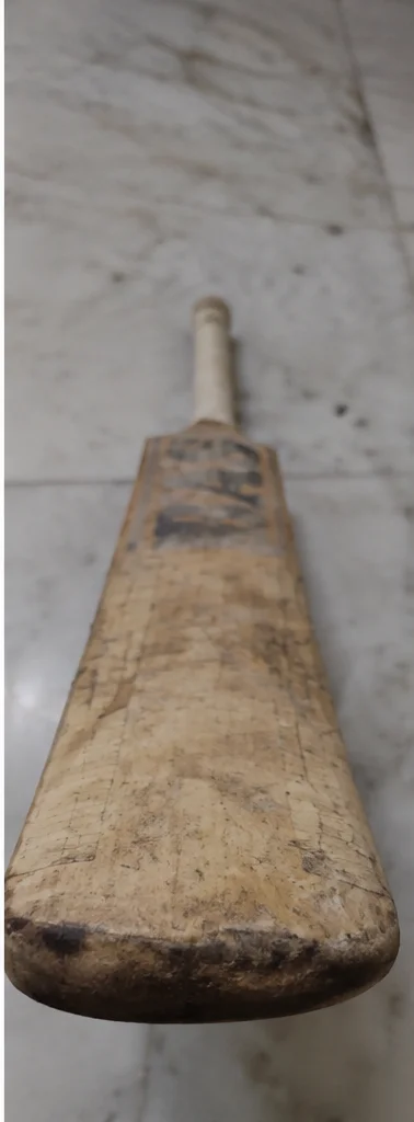 BAS Vampire - Cricket Bat, product photo 2