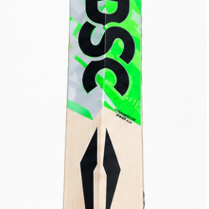 DSC Fearless - Grade 1 Cricket Bat