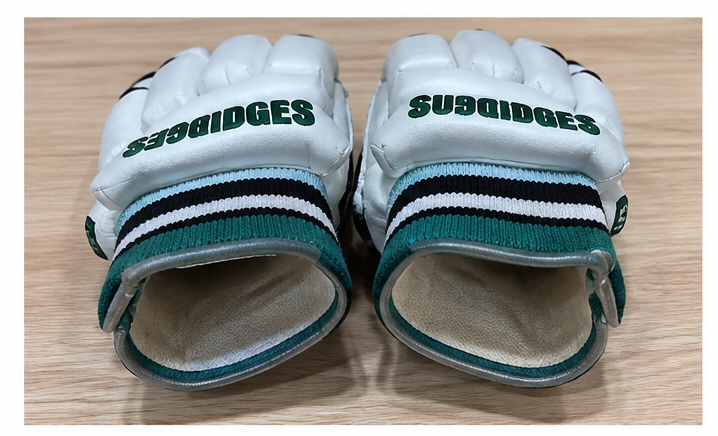 SS Sunridges Batting Gloves, product photo 1